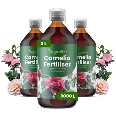 Obrázek produktu pro Kamélia Tekuté Hnojivo 3x1 L – 3-4-3 NPK – Pro Kvetoucí Rostliny – Pro Bujné Květy & Zdravé Listy – Podporuje Kořeny & Vitalitu – Organifer