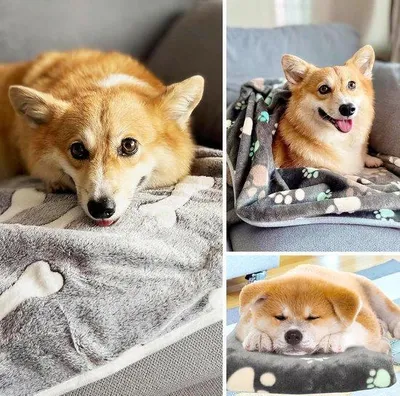 Zdjęcie produktu dla Miękka, nadająca się do prania podkładka dla psów i kotów marki Famanu Hundedecke - 3 sztuki, rozmiar L (104x76 cm)