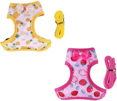 Obrázek produktu pro Vestka pro slepice, dvoudílná, elastická, jahoda/ananas, pro malé ptáky, trénink, procházky.
