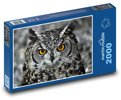 Zdjęcie produktu dla Puzzle 2000 Sowa z przenikliwymi oczami - martinpuzzle