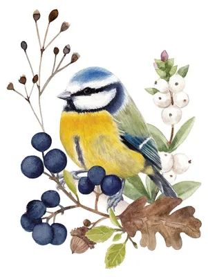 Produktbild von 20 Servietten Oiseau en Nature - Blaumeise an Naturgesteck 33x33cm