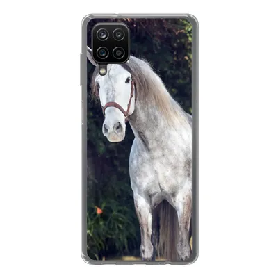 Produktbild von MuchoWow® Handyhülle Schutzhülle Hülle für Samsung Galaxy A12 Pferd - Halfter - Natur Silikon Softcase Handy Hülle - Bild