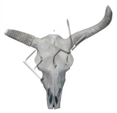 Immagine prodotto di Design figura statua scultura figure sculture decorazione decorazione testa corna muro