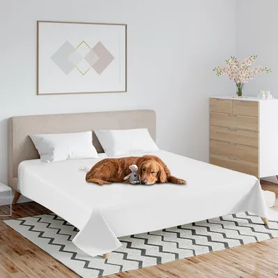 Obrázek produktu pro Voděodolná deka pro domácí zvířata - ochrana pro psy, kočky, 200 x 230 cm