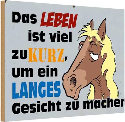 Produktbild von vianmo Holzschild 20x30 cm das Leben ist zu kurz um Pferd Tier Haustier
