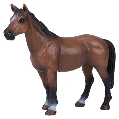 Image de Animal Planet Trakehner