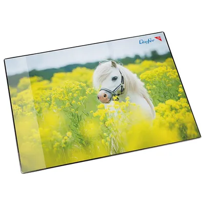 Image de Sous-main Läufer Cheval dans un champ de colza 400 x 530 mm