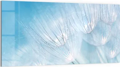 Produktbild von DEQORI Glasbild Echtglas 100x50 cm 'Blühender Löwenzahn' Wandbild Bild modern Deko