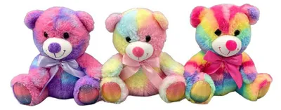 Image de Knuffelbeer Regenboogkleuren - 21cm
