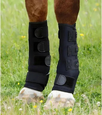 Produktbild von Premier Equine Turnout Sehnenstiefel Schwarz L Schwarz L