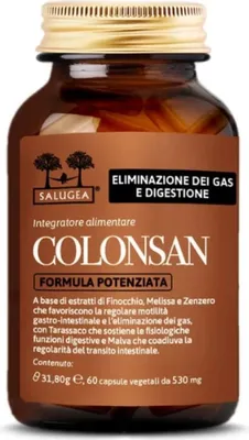 Image de Complément alimentaire pour le soutien de l'estomac et de l'intestin Salugea Colonsan, 60 gélules