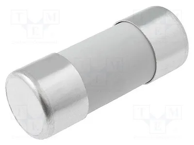Produktbild von 1x Sicherung: Schmelz gG 22x58mm 422040 Sicherungen 22x58mm 690VAC 40A