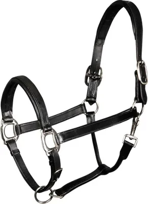 Produktbild von Harry´s Horse Leather Padded Halfter Schwarz Full Schwarz Full