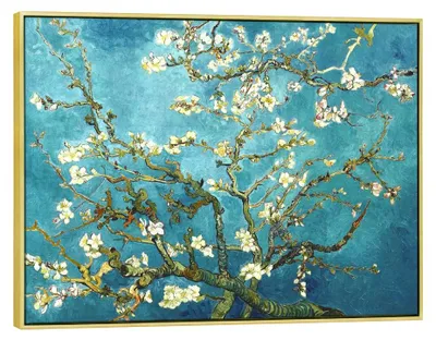 Gold gerahmter Leinwanddruck, Amandelbloesem, 82,5x62,2 cm