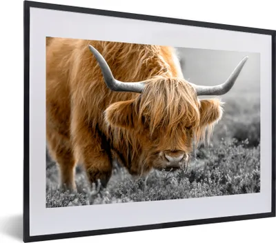 Produktbild von MuchoWow® MuchoWow® Gerahmtes Poster Schottisches Hochlandrind - Tiere - Braun - Kuh - Schwarz - Weiß - Natur 60x40 cm - Poster mit zchwarzem Bilderrahmen - Schlafzimmer - Plakat in Rahmen - Drucken