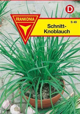 Produktbild von Schnittknoblauch