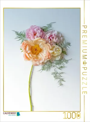 Produktbild von CALVENDO Puzzle Pfingstrosentraum | 1000 Teile Lege-Größe 64x48cm Foto-Puzzle für glückliche Stunden