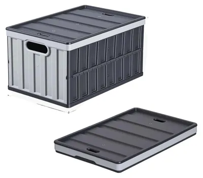 Obrázok produktu pre Skladovací kontajner, objem 65 l, skladací dizajn, 2 ks