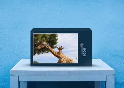 Produktbild von hansepuzzle 78466 - Giraffe Puzzle, 1000 Teile, Natur, 60,0 x 46,0cm mit hochwertiger Aufbewahrung, Kartonbox und wiederverschließbarem Beutel