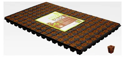 Produktbild von Anzuchtplatte für Samen Eazy Gardening - 150 Stecklinge (52x31cm)