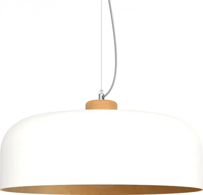 Image de Lampe suspendue BOIS « Feuille »