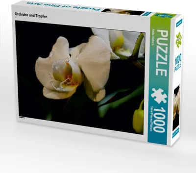 Produktbild von Calvendo Orchidee und Tropfen 1000 Teile Puzzle quer 640x480mm, Hultsch Heike; 7279400