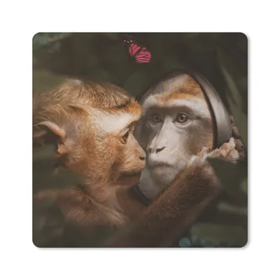 Produktbild von MuchoWow® Mauspad Mousepad Tiere - Affen - Natur 20x20 cm - Mousepads - Maus Mat - Pad - Mausunterlage - Desk Mat - Bureauartikeln