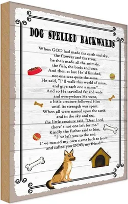 Produktbild von vianmo Holzschild 30x20 cm Dog spelled backwards my friend Tier Haustier