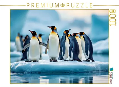 Produktbild von CALVENDO Puzzle Ein Motiv aus dem Kalender Mit den Pinguinen | 1000 Teile Lege-Größe 64x48cm Foto-Puzzle für glückliche Stunden