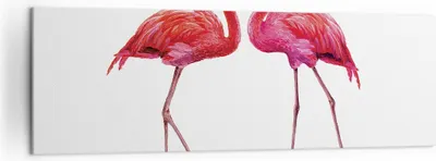 Produktbild von Bild auf Leinwand - Leinwandbild - Einteilig - Flamingos Rosa Paar - 160x50cm - Wand Bild - Wanddeko - Wandbilder - Leinwanddruck - Bilder - Wanddekoration - Leinwand bilder - Wandbild - AB160x50-4243