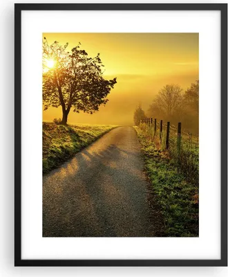 Produktbild von Gerahmtes Poster - Schwarzer Rahmen - Feld Straße Baum - 40x50 cm - Wand Bild - Wanddeko - Wandbilder - Kunstposter - Wandposter - Bilderrahmen - Bilder - Kunstdruck - Wandbild - P2BPA40x50-3851