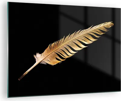 Produktbild von Bilder auf glas - Einteilig - Golden Feder Schwarz - 70x50cm - Glasbilder - Wandbilder - Bilder - zum Aufhängen bereit - Wanddekoration aus Glas - Glas Bilder - Wandbild auf Glas - GAA70x50-4887