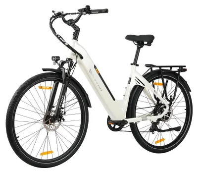 Image de Vélo électrique VTT - C3 SE - Moteur 250 W - Batterie 36 V 20 Ah - 25 km/h - Autonomie jusqu'à 120 km - IPX5 - 2 places - Blanc