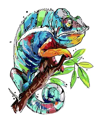 Produktbild von Gaira Malen nach Zahlen Chamäleon