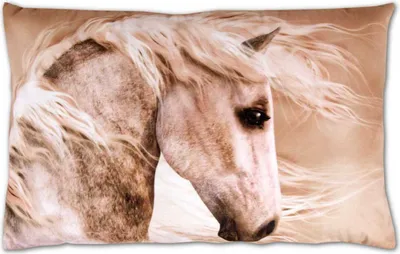Produktbild von Kissenbezug Fotodruck Motiv in 40x60 cm, Flauschig weiche Kissenhülle mit Füllung, Motiv: Pferdekoch