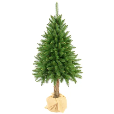 Imagen del producto de Árbol de Navidad de abeto de alta calidad, con un tronco de 180 cm, de follaje denso y aspecto natural. Damich