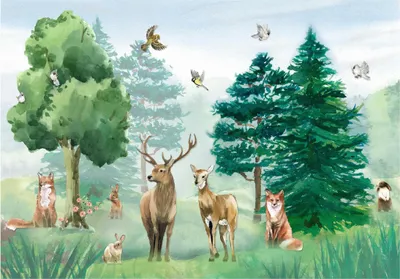 Produktbild von Vlies Fototapete Kinderzimmer Wald Tiere (368x254 cm - inkl. kleister) Tapete Mädchen Kinder Kindertapete Modern Fototapeten Wandtapete Motivtapeten XXL Vliestapete UV-Beständig Montagefertig