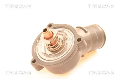 Image de Thermostat TRISCAN