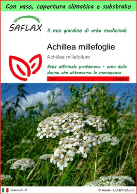 Immagine prodotto di SAFLAX Garden to go - Achillea millefoglie - 200 semi - Achillea