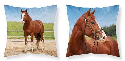 Obrázok produktu pre DETEXPOL Obliečka na vankúšik Kôň v ohrade micro Polyester, 40/40 cm