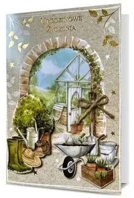 Image de Carte B6 Anniversaire - M. Dragon