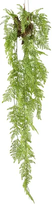 Produktbild von Kopu® Kopu künstliche Hängepflanze Farn 145 cm - grün