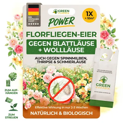 Produktbild von Power Florfliegenlarven gegen Blattläuse und Wollläuse– 1 Tüte für 10 m²- Mittel zur Wolläuse Bekämpfung für Zi.Pflanzen & Cannabis, GREEN GUARDIA
