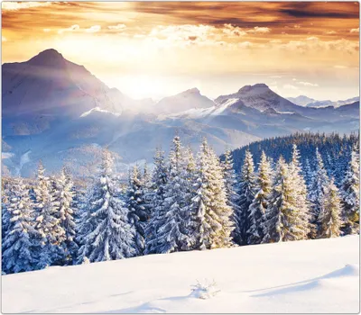 Produktbild von Spritzschutz Herdabdeckplatte Schneidebrett aus Glas Winterlandschaft bei Sonne 1-Teilig (60x52cm)