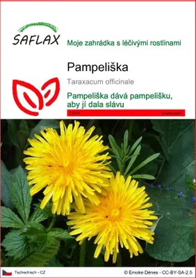 Obrázek produktu pro SAFLAX - pampeliška - Taraxacum officinale - 200 Semena