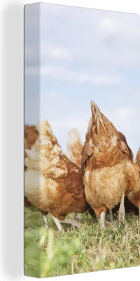 Produktbild von MuchoWow® - Leinwandbilder - Hühner auf dem Feld, Wandbild, Wanddeko Bilder Wohnzimmer, 20x40 cm