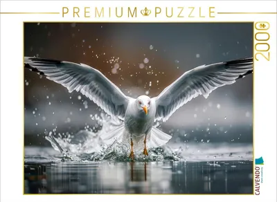 Produktbild von CALVENDO Puzzle Start oder Landung | 2000 Teile Lege-Größe 90x67cm Foto-Puzzle für glückliche Stunden
