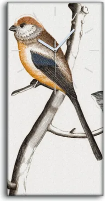 Produktbild von Küche Wohnzimmer Wand Leinwand Uhr 30x60 Zeichnung Tier Vogel Zweig Kunst - weiße Hände