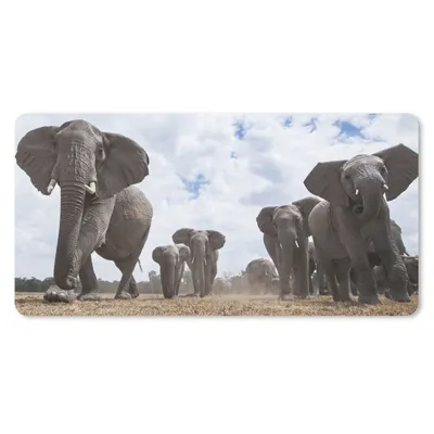 Produktbild von MuchoWow® Mauspad Mousepad Elefant - Tiere - Natur - Flachland 60x30 cm - Mousepads - Maus Mat - Pad - Mausunterlage - Nachhaltig