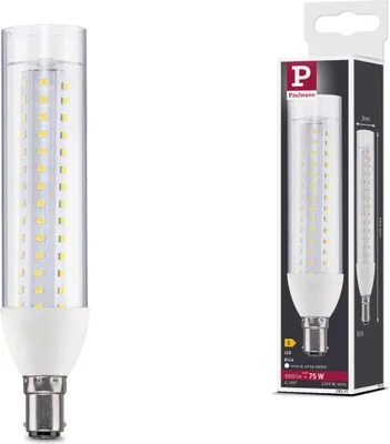 Produktbild von Paulmann Standard 230V LED Birne